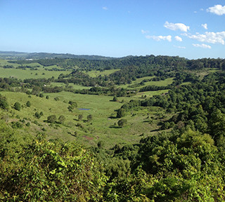 Hinterland