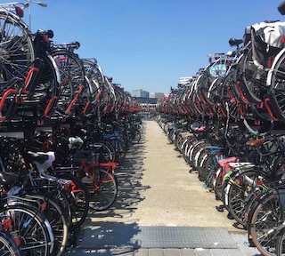 Bicycles Rule Amsterdam